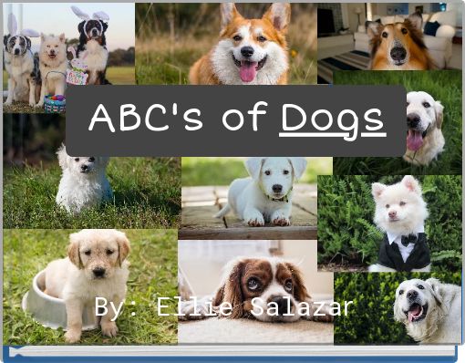 ABC's of Dogs