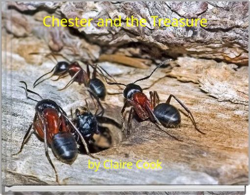 Chester and the Treasure