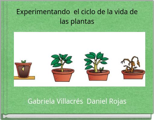 Experimentando el ciclo de la vida de las plantas