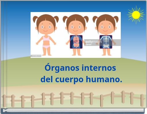 Órganos internos del cuerpo humano.
