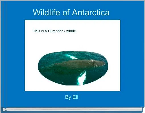 Wildlife of Antarctica 