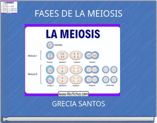 FASES DE LA MEIOSIS
