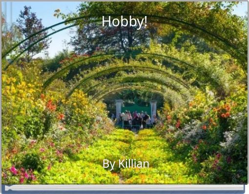 Hobby!