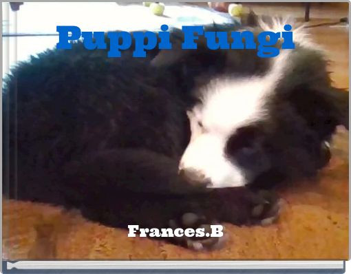 Puppi Fungi