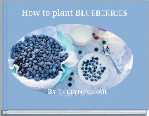 How to plant Blueberries
