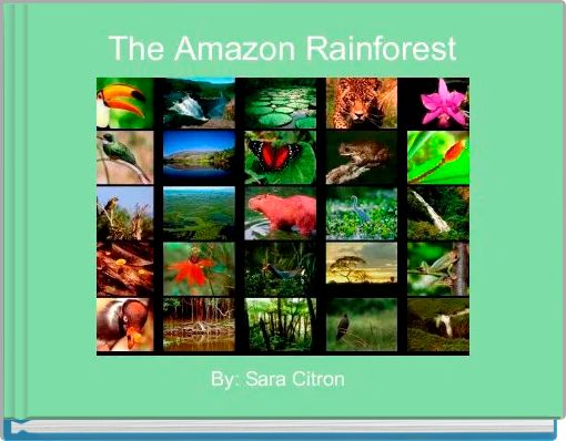 The Amazon Rainforest