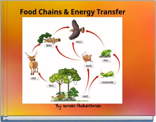 Food Chains & Energy Transfer