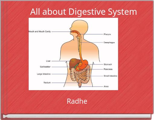 All about Digestive System