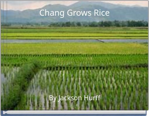 Chang Grows Rice