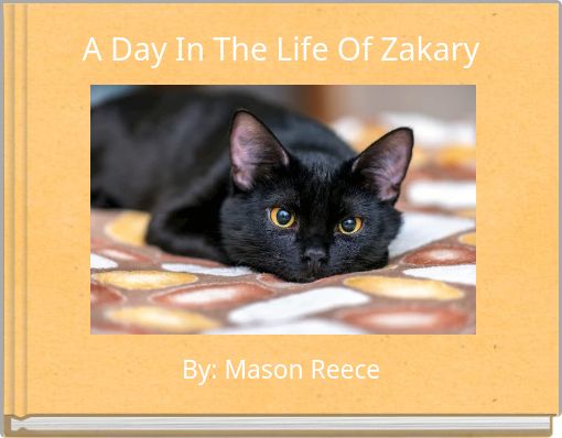 Book Cover for: A Day In The Life Of Zakary