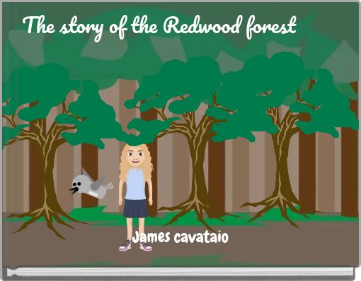 The story of the Redwood forest
