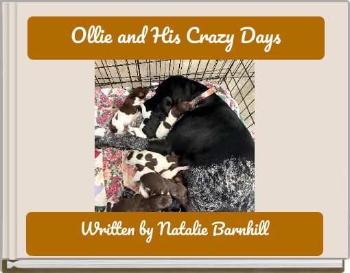 Ollie and His Crazy Days