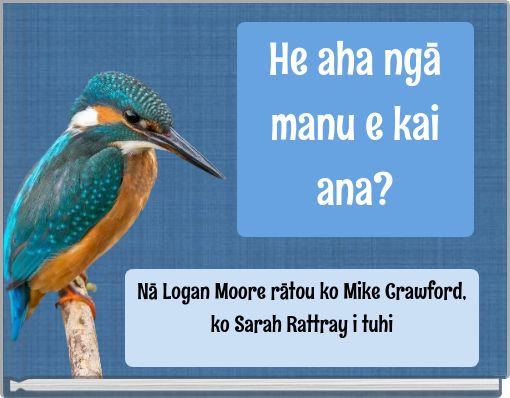 He aha ngā manu e kai ana?