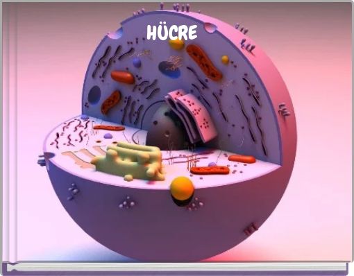 H&Uuml;CRE