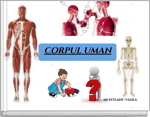 CORPUL UMAN
