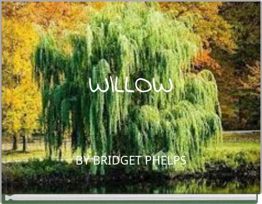 WILLOW