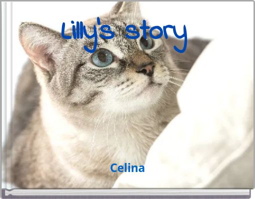 Lilly's story