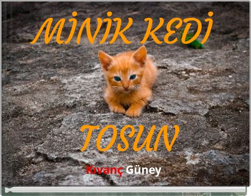 MİNİK KEDİ TOSUN