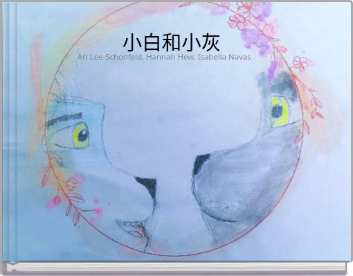 小白和小灰