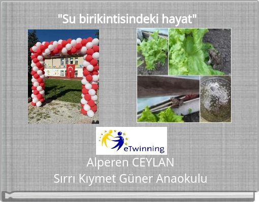 "Su birikintisindeki hayat"