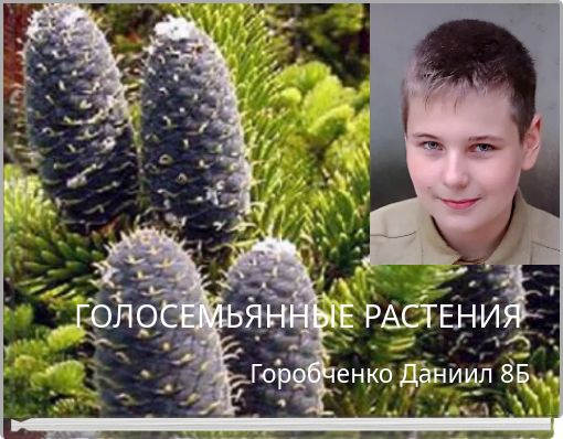ГОЛОСЕМЬЯННЫЕ РАСТЕНИЯ
