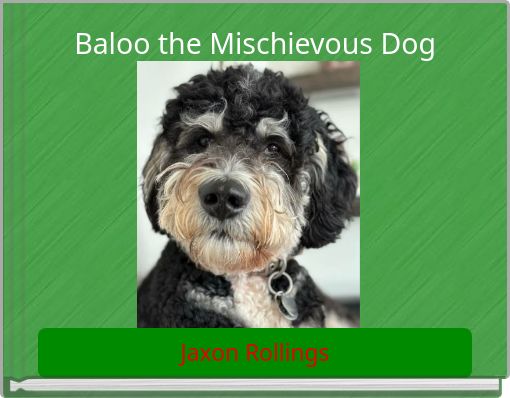 Baloo the Mischievous Dog