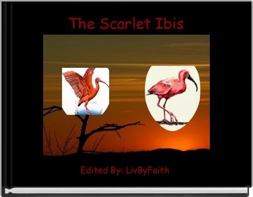 The Scarlet Ibis