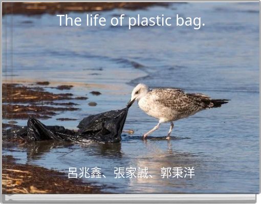 The life of plastic bag.