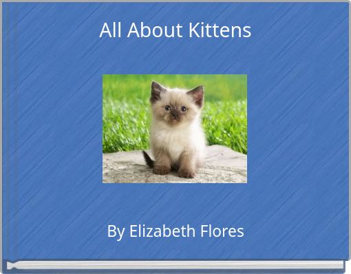 All About Kittens