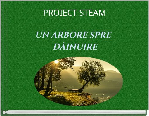 PROIECT STEAM