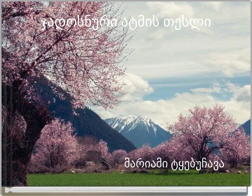 Book Cover for: ჯადოსნური ატმის თესლი