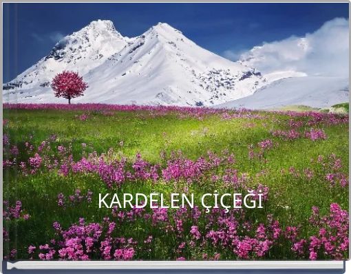 KARDELEN &Ccedil;İ&Ccedil;EĞİ