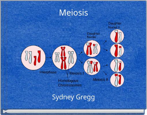Meiosis