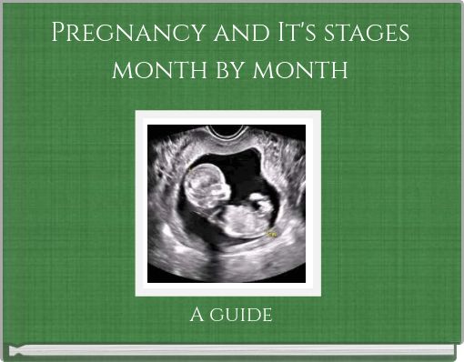 Pregnancy and It's stages month by month