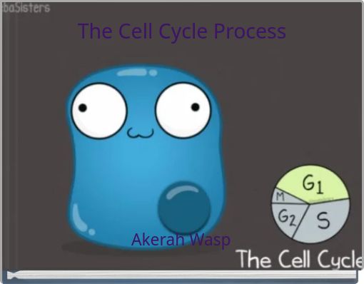 The Cell Cycle Process