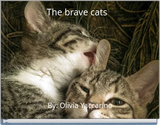 The brave cats