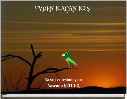 Front cover of 'EVDEN KAÇAN KUŞ' 