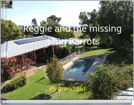 Reggie and the missing King Parrots