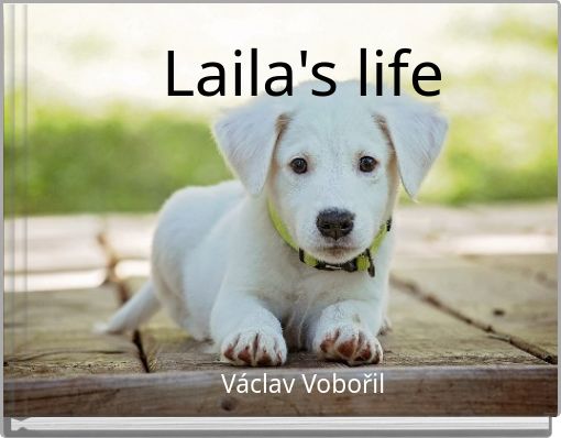 Front cover of 'untitled' 