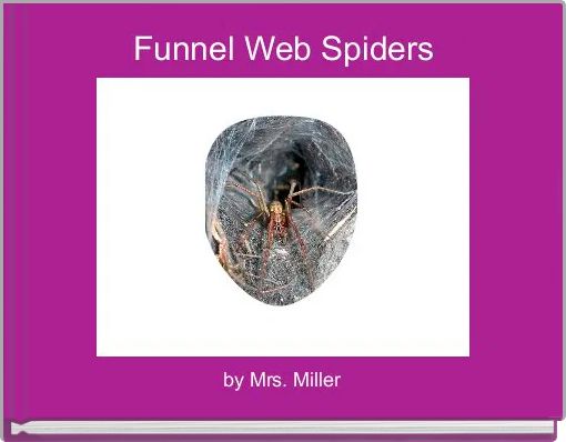 Funnel Web Spiders