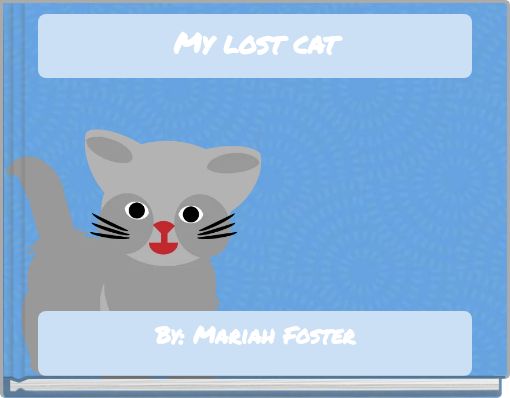 My lost cat