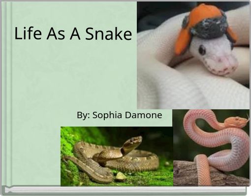 Life As A Snake