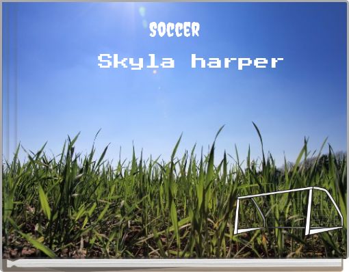 Book Cover for: Soccer