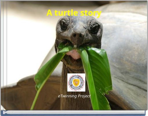 A turtle story