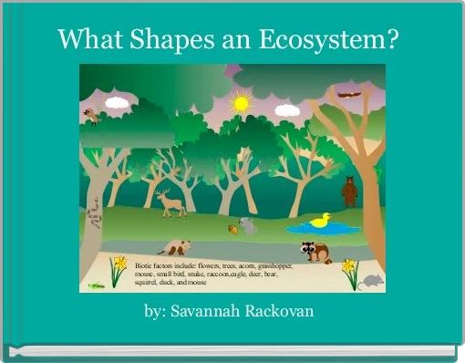 What Shapes an Ecosystem? 