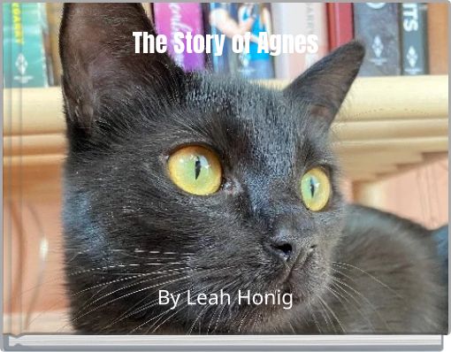 The Story of Agnes