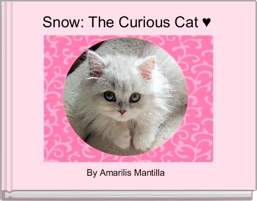 Snow: The Curious Cat ♥ 