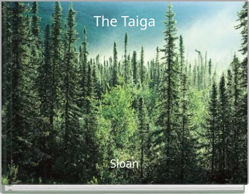 The Taiga