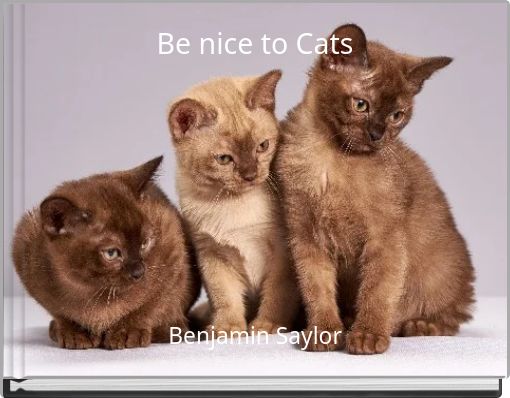 Be nice to Cats