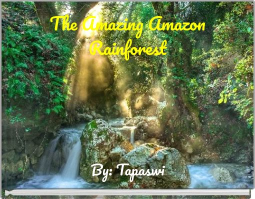 The Amazing Amazon Rainforest
